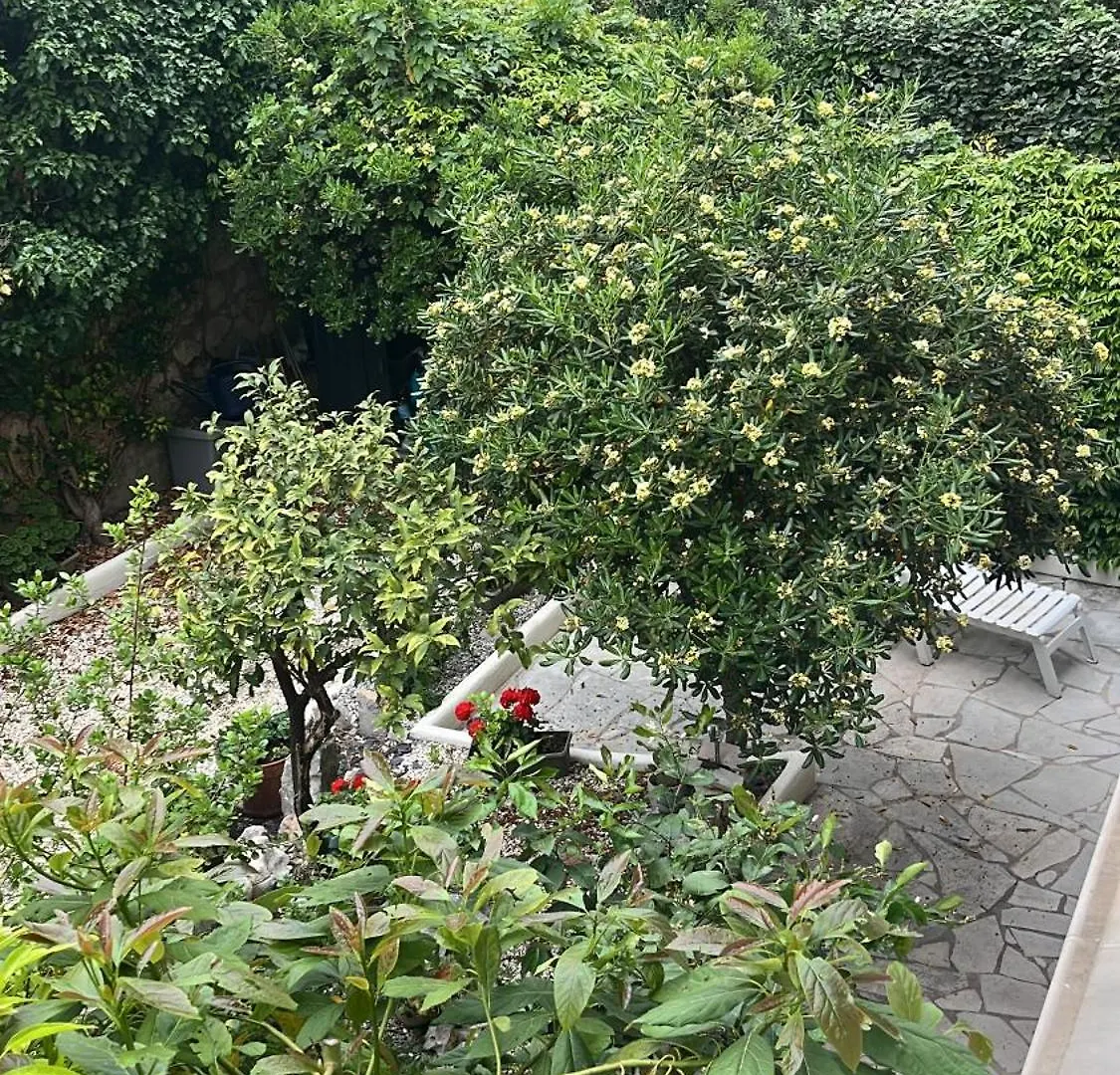 Appartement Super Positive 1 à Cannes